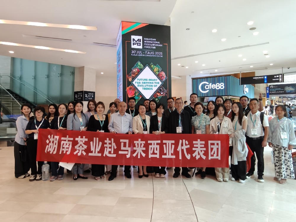 湖南食品开拓全球市场之旅-马来西亚站#2025MIFB#马来西亚国际食品及饮料展