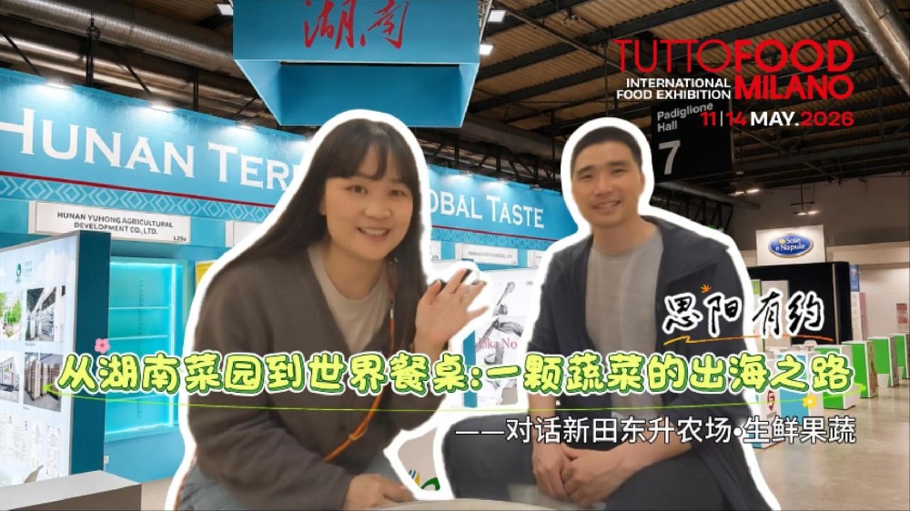 从湖南菜园到世界餐桌：一颗蔬菜的出海之路——对话新田东升农场